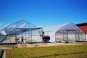 Workers working on two single bay industrial greenhouse assembly