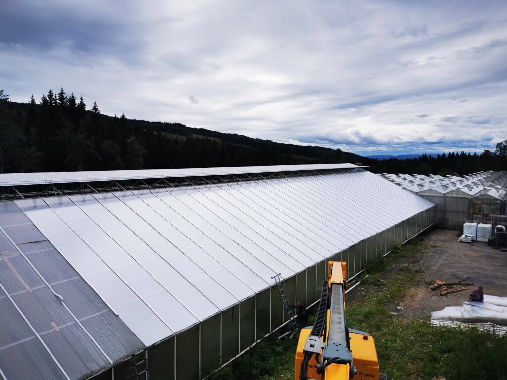 Greenhouse with new polycarbonate roof
