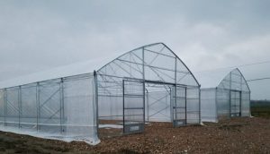 Greenhouse plastic film upgrade