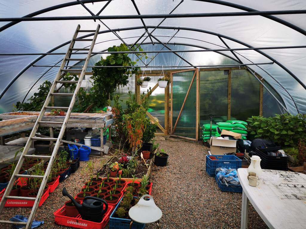 Greenhouse with plastic film cover from the inside