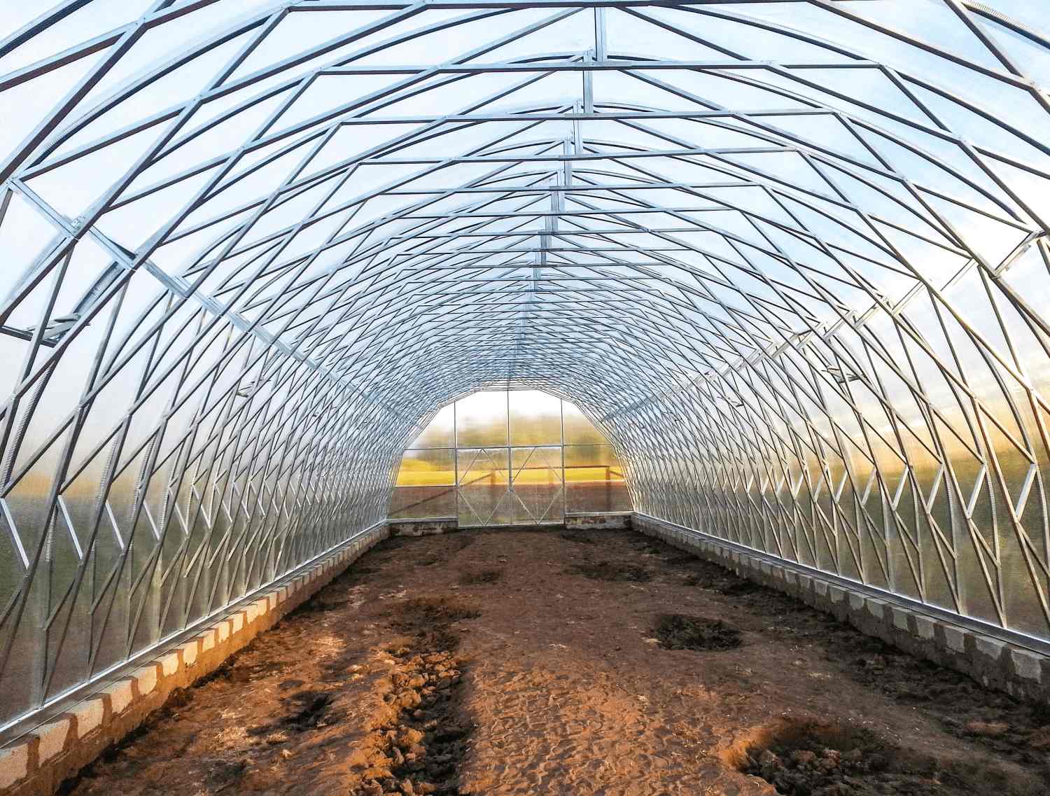 Indvendig billede af Drivhus Premium Tunnel L med grønne oaser af planter