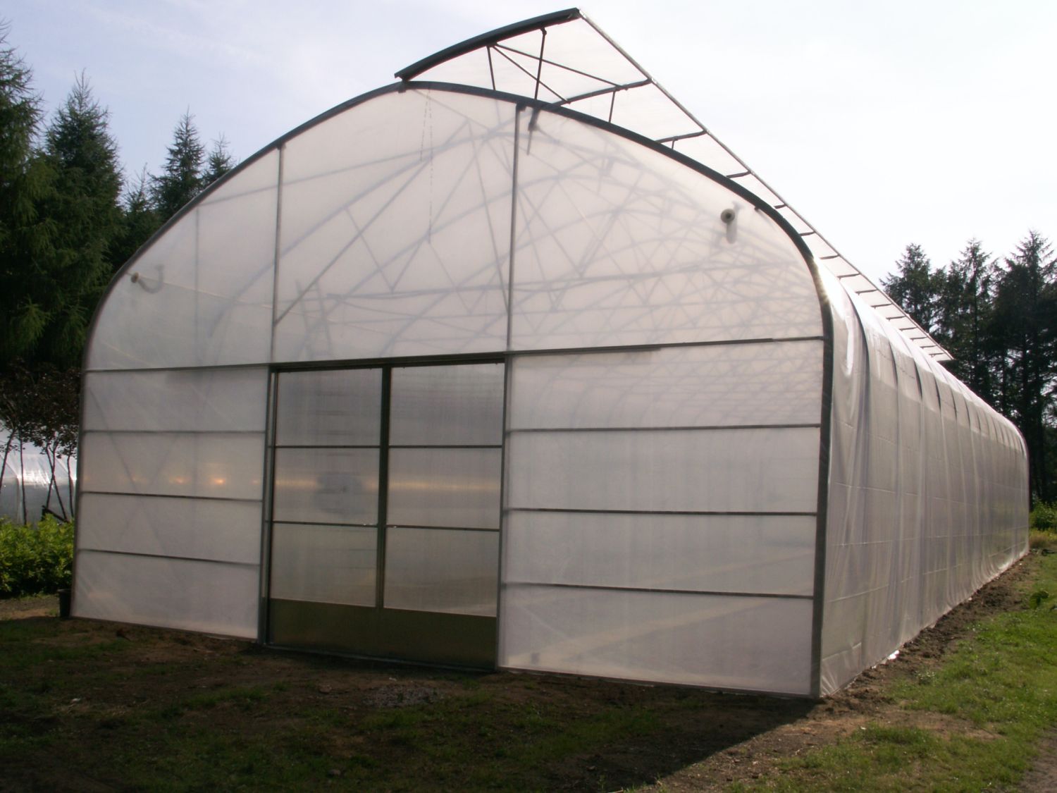 Greenhouse Agro Tunnel showcasing its completed design