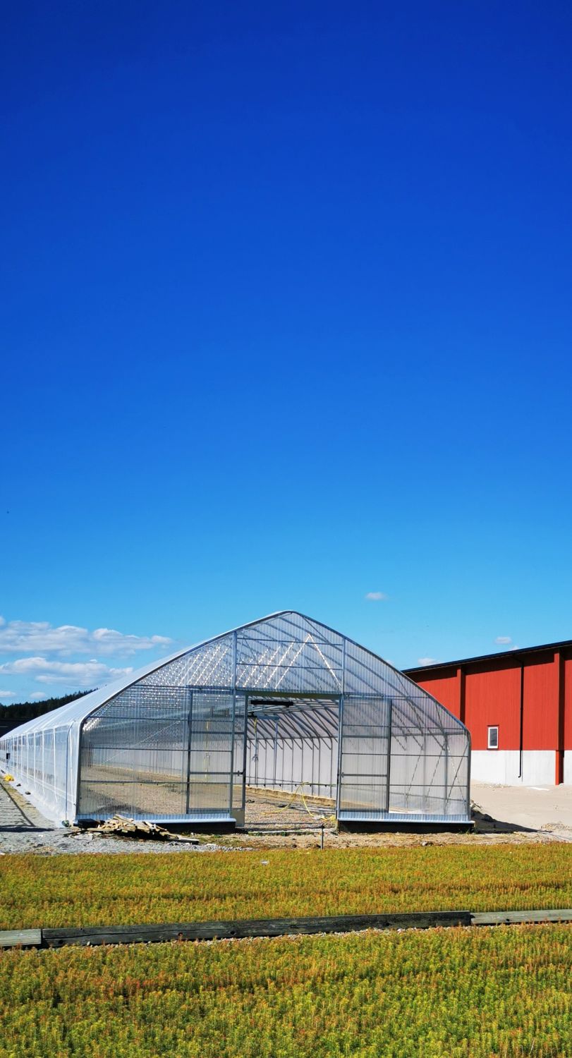 Exterior vision of greenhouse Easyart