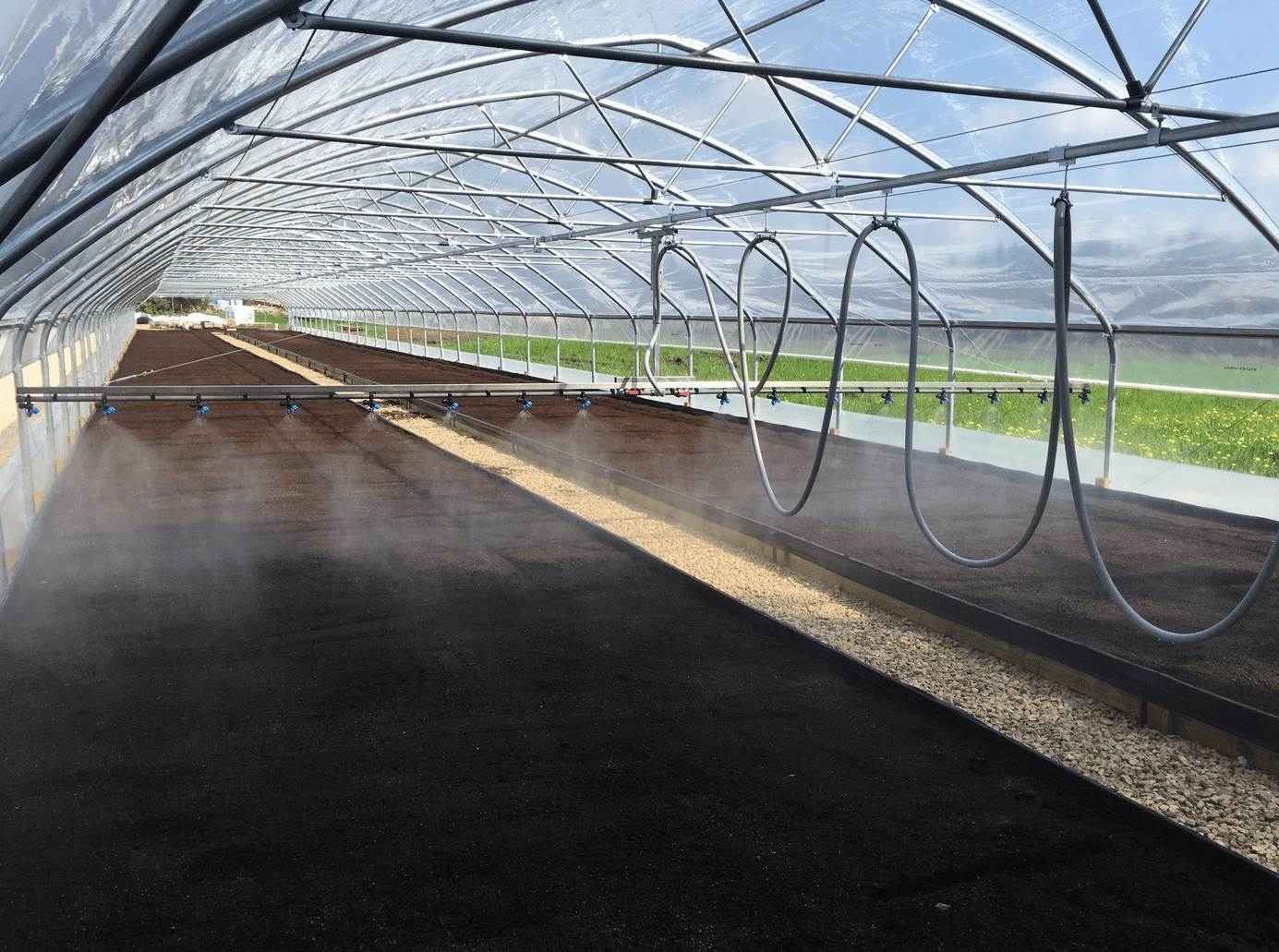 Interior of greenhouse Easyart filled with vibrant greenery