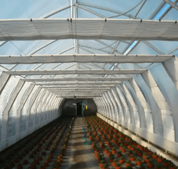 Veksthus Agro Tunnel