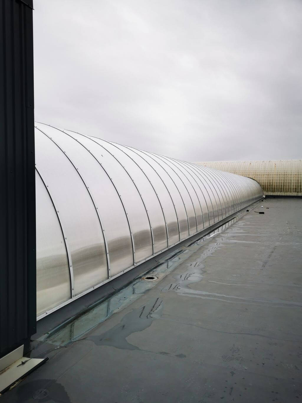 Ark polycarbonate roof renovation